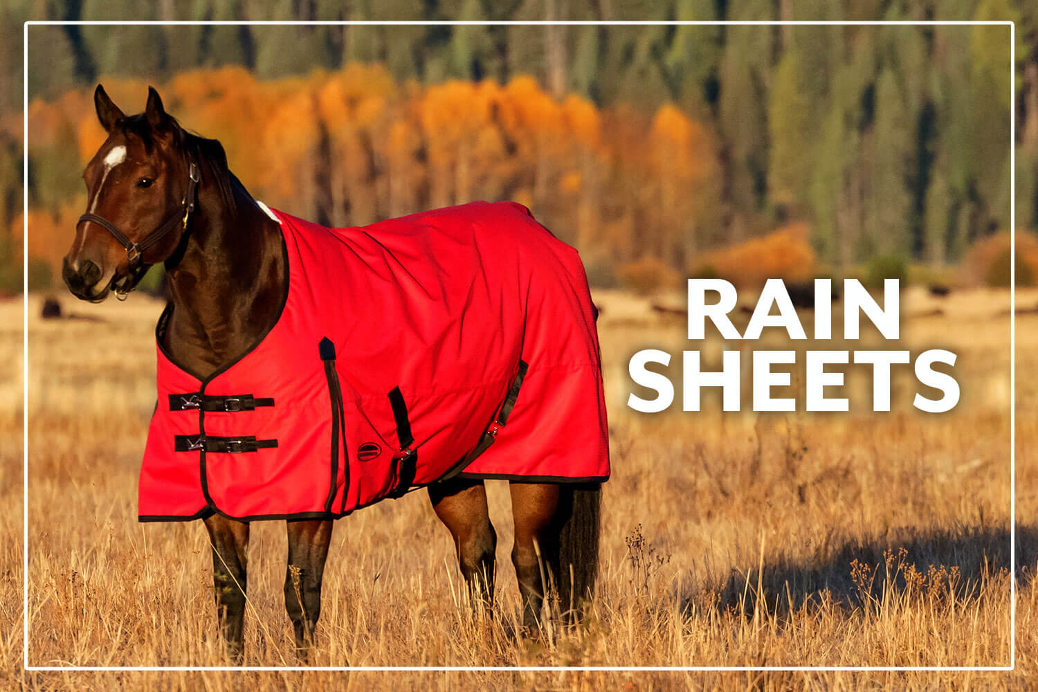 Shop Horse Turnout Sheets Rain Sheets