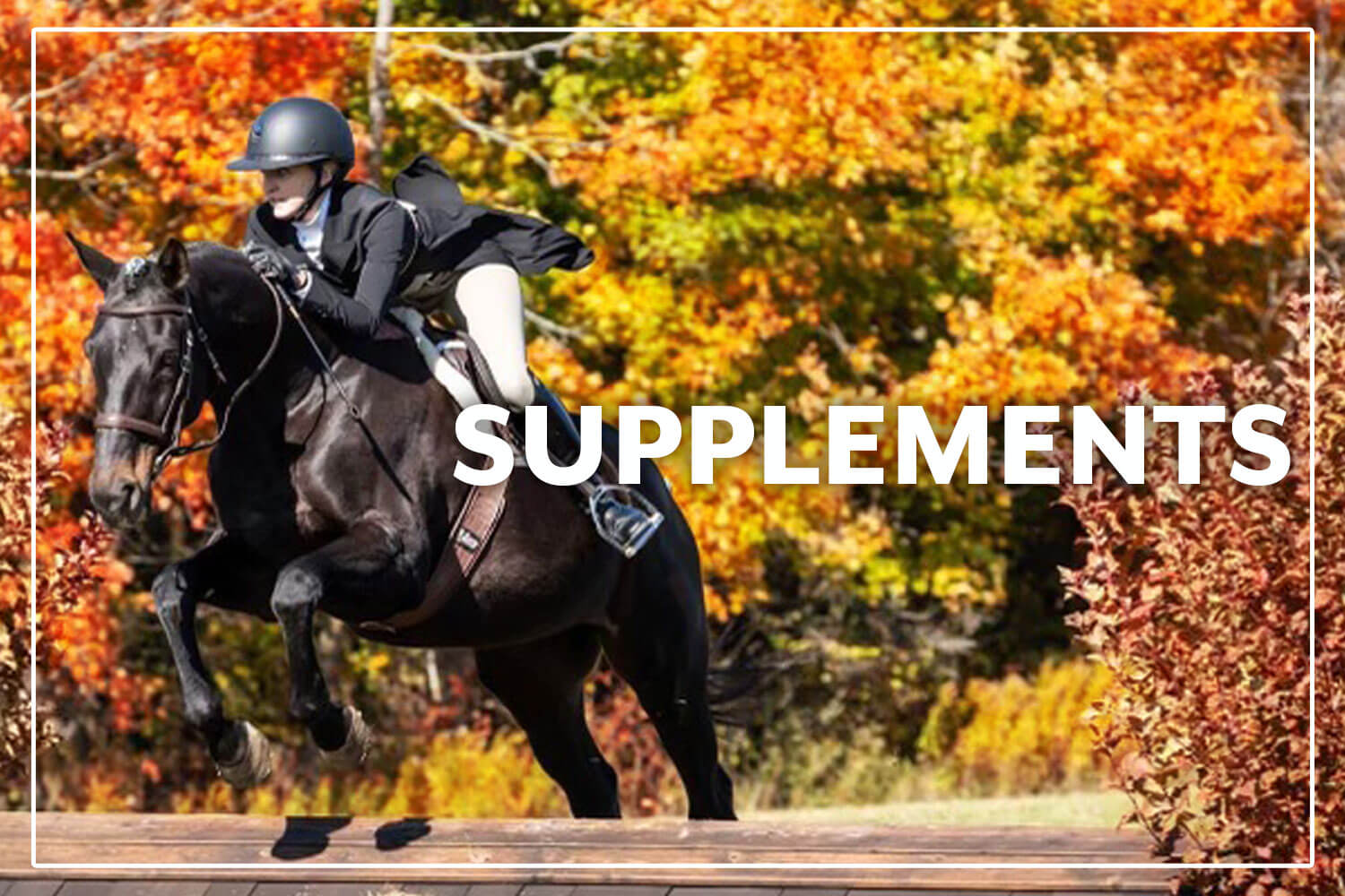 Shop Supplements