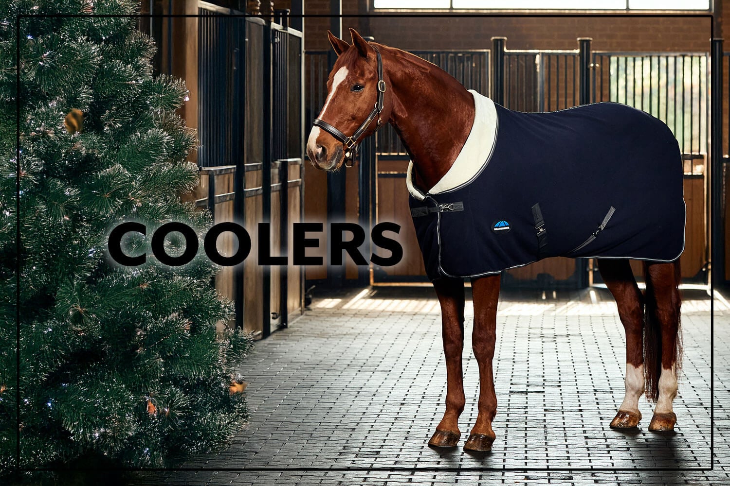 Shop Horse Coolers