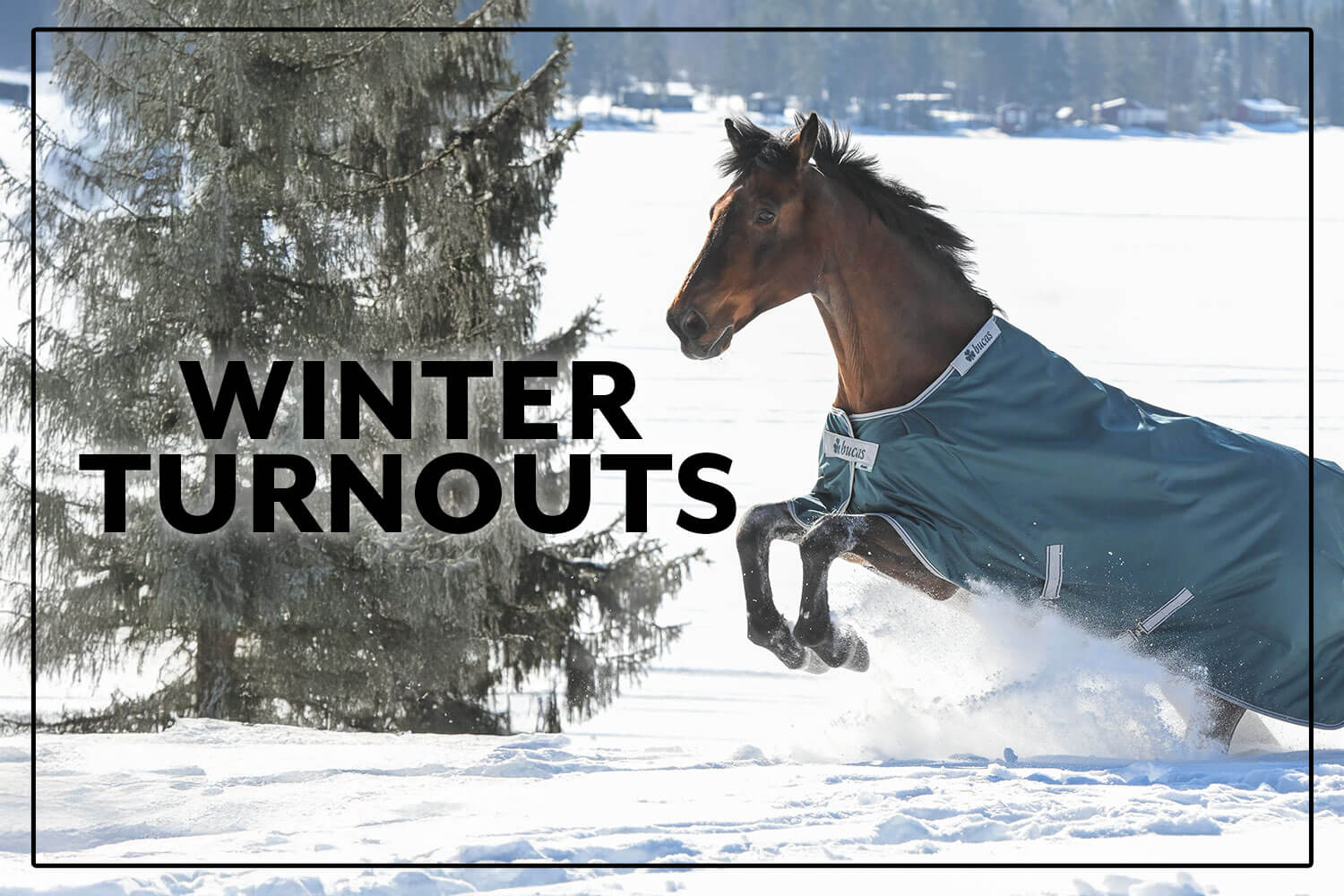 Shop Horse Turnout Sheets Rain Sheets