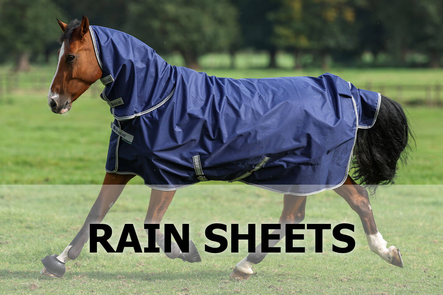 Shop Horse Turnout Sheets Rain Sheets