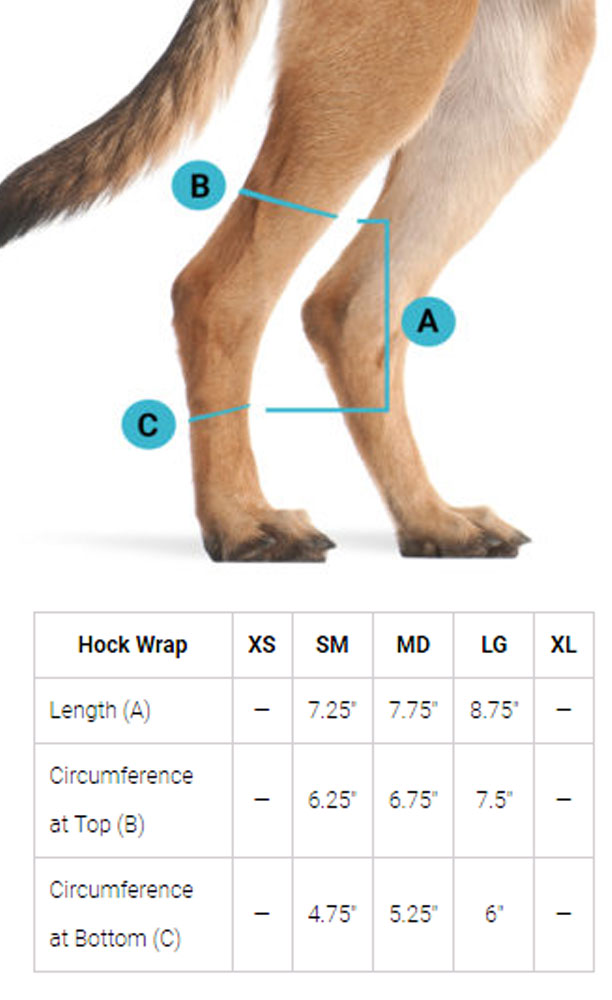 Back on Track Dog Hock Wrap Size Chart